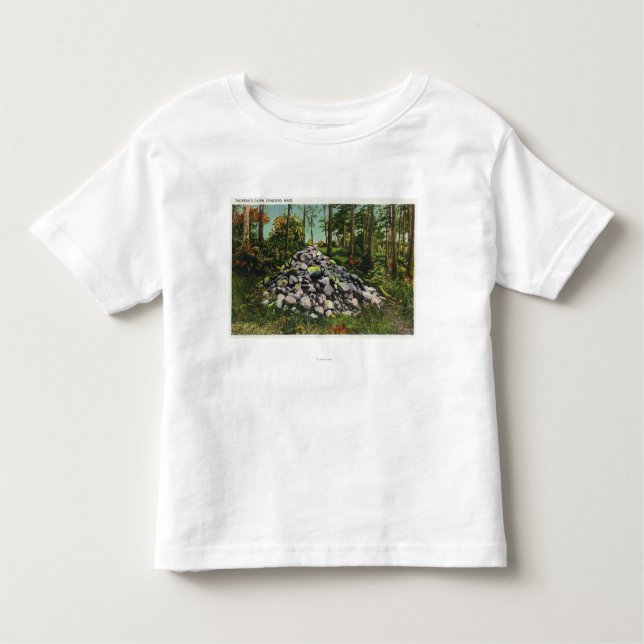 View of Thoreau's Cairn Toddler T-Shirt (Front)