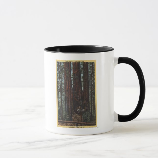 View of "Three Graces" at Big Trees Park Mug (Right)