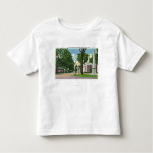 View of Town Hall and Paterson Monument Toddler T-Shirt
