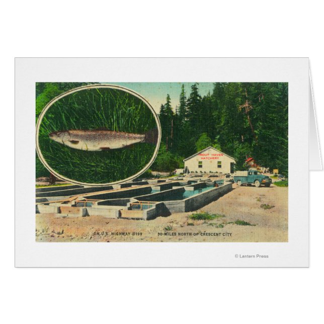 View of Trout Haven HatcheryGasquet, CA (Front Horizontal)