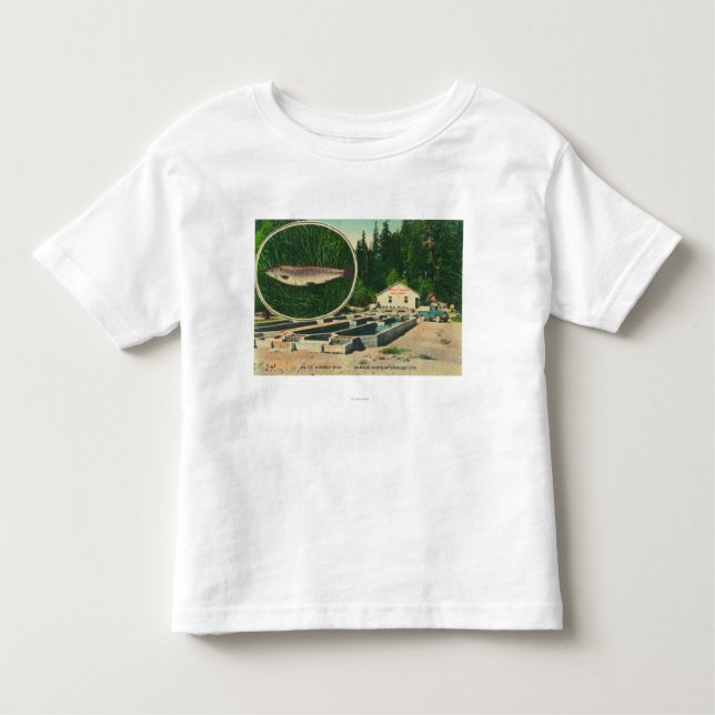View of Trout Haven HatcheryGasquet, CA Toddler T-Shirt (Front)