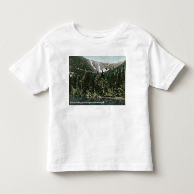 View of Tuckermans Ravine, Mt. Washington Toddler T-Shirt (Front)