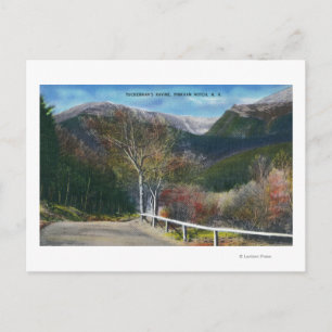 View of Tuckermans Ravine Postcard