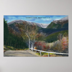 View of Tuckermans Ravine Poster