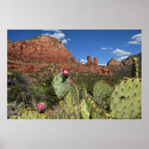 View of Twin Buttes   Sedona, Arizona Poster