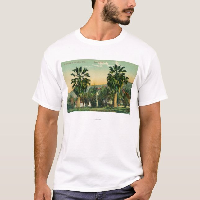 View of Twin PalmsParaiso Springs, CA T-Shirt (Front)