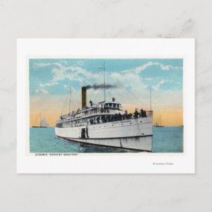 View of Typical Cape Cod Sand Dunes Postcard