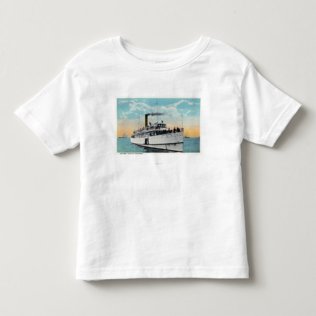 View of Typical Cape Cod Sand Dunes Toddler T-Shirt (Front)