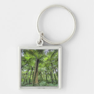 View of vegetation in Bali Botanical Gardens, Key Ring