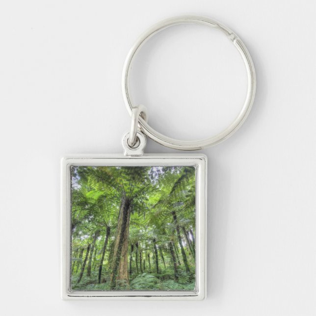 View of vegetation in Bali Botanical Gardens, Key Ring (Front)