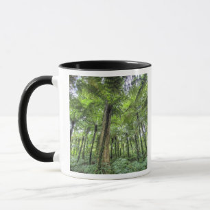 View of vegetation in Bali Botanical Gardens, Mug