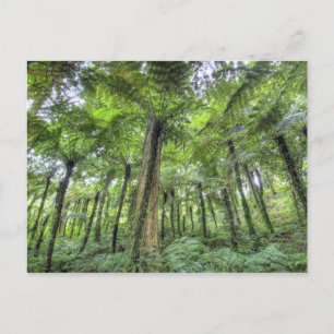 View of vegetation in Bali Botanical Gardens, Postcard