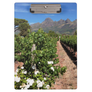 View Of Vineyards. Stellenbosch Clipboard