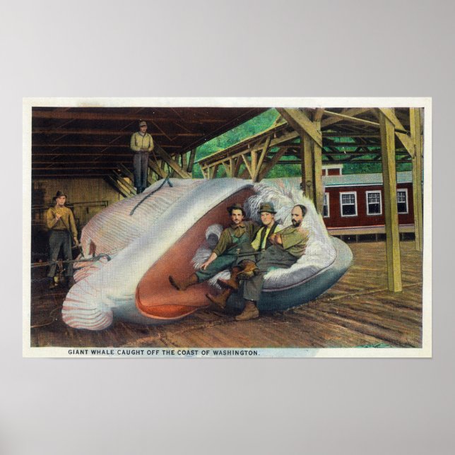 View of Whale Hunters Reclining on Whale Poster (Front)