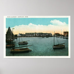 View of White Elephant Poster