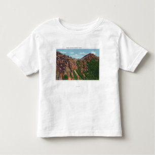 View of Whiteface Mt Summit Toddler T-Shirt