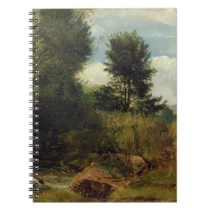 View on the River Sid, near Sidmouth, c.1852 (oil Notebook