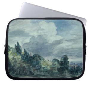 View over a wide landscape, with trees in the fore laptop sleeve