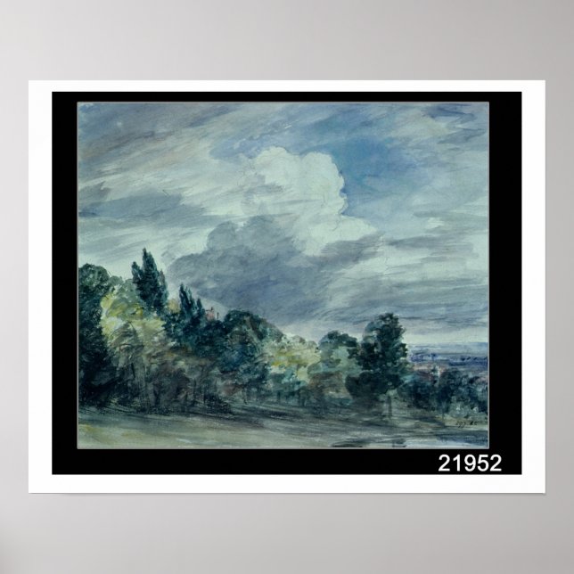View over a wide landscape, with trees in the fore poster (Front)