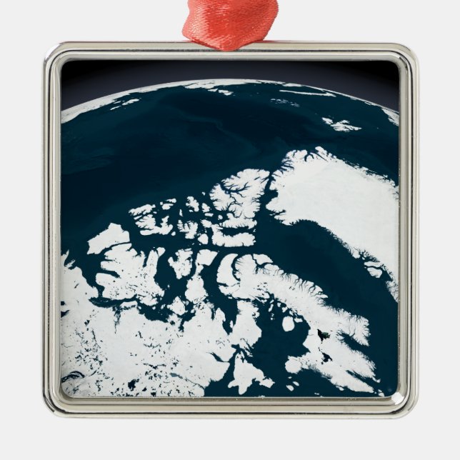 View over Greenland and the Arctic Ocean Metal Tree Decoration (Front)