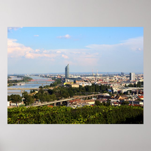 View Over Vienna Poster (Front)