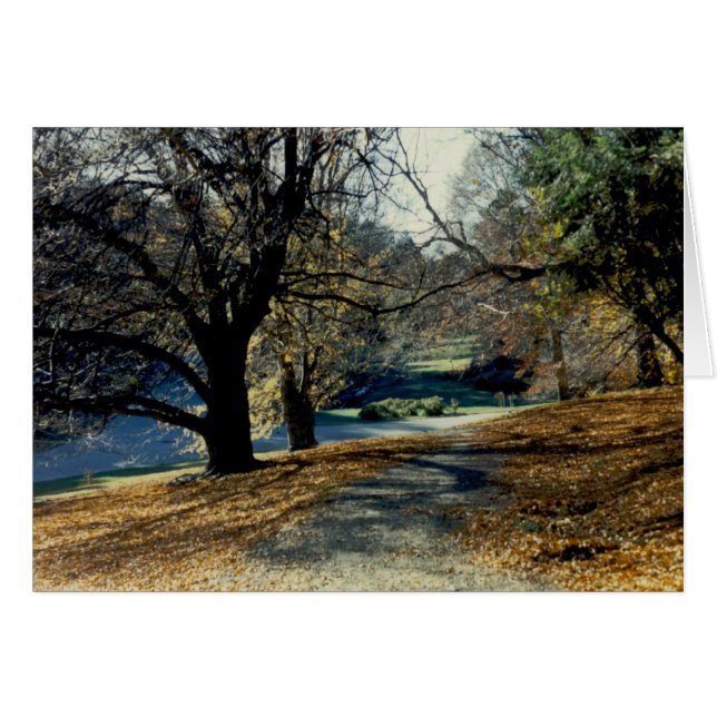 View through Beech Grove (Front Horizontal)