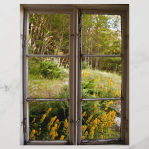 View through old window flyer