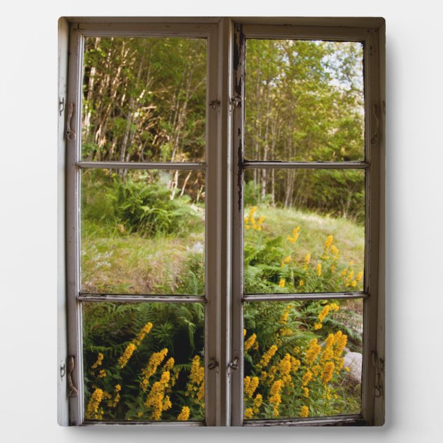 View through old window plaque (Front)