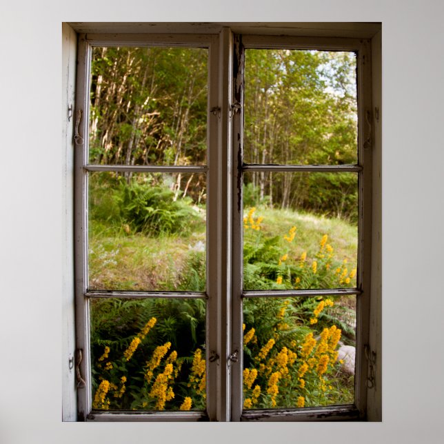 View through old window poster (Front)