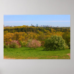 View to Boston from Peter's Hill, Arnold Arboretum Poster