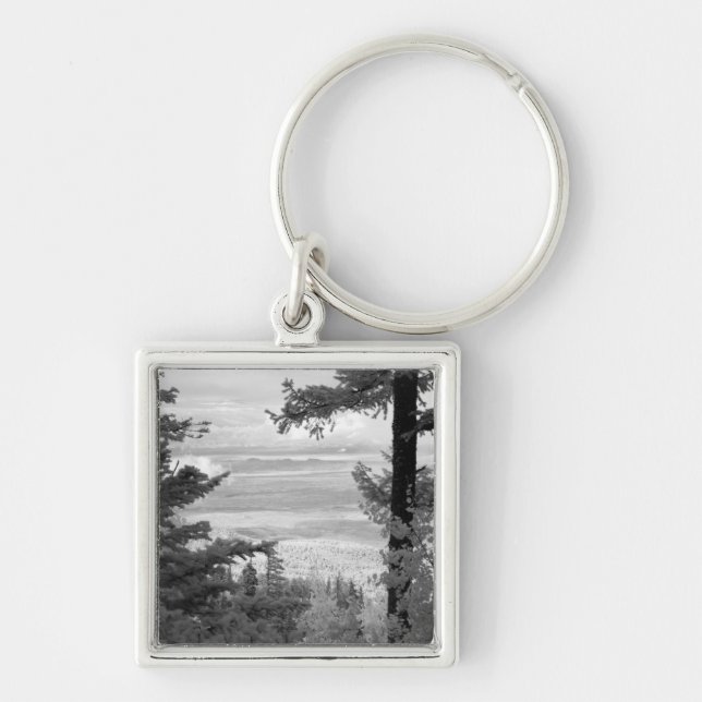 View west from crest of Sandia, Mountains, Key Ring (Front)