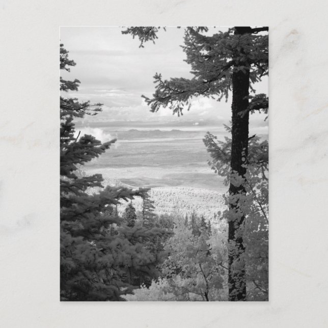 View west from crest of Sandia, Mountains, Postcard (Front)