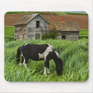 Viewing horses in a field in the Palouse 2 Mouse Pad