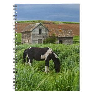 Viewing horses in a field in the Palouse 2 Notebook