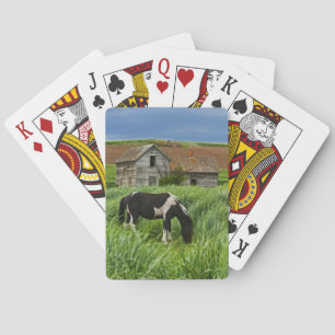 Viewing horses in a field in the Palouse 2 Playing Cards