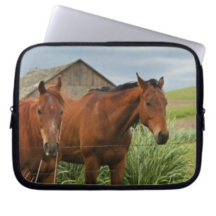 Viewing horses in a field in the Palouse 3 Laptop Sleeve