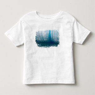 Viewing icebergs in blue in the Errera Channel Toddler T-Shirt
