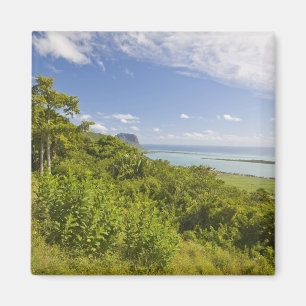 Viewpoint near Grand Riviere Noire, South Magnet