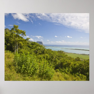 Viewpoint near Grand Riviere Noire, South Poster