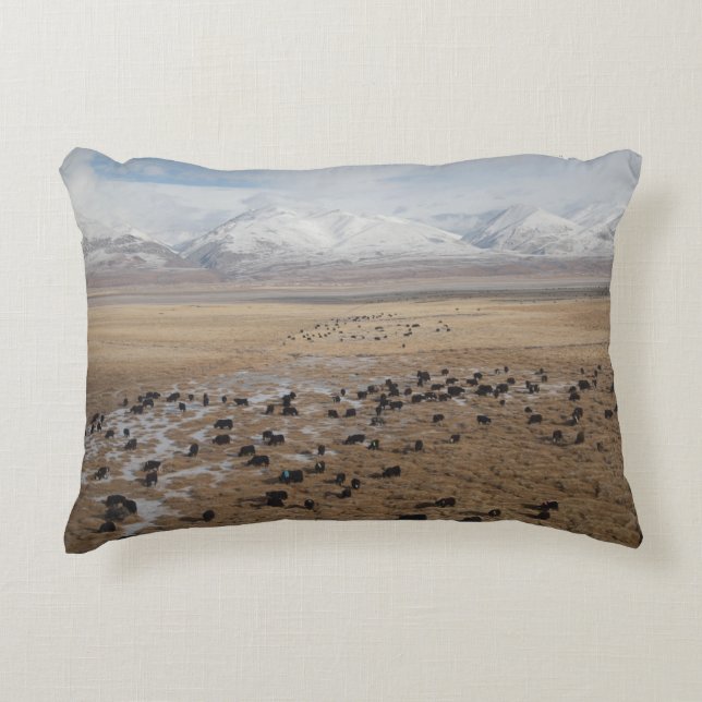 VIEWS FROM A TRAIN TO TIBET DECORATIVE CUSHION (Front)