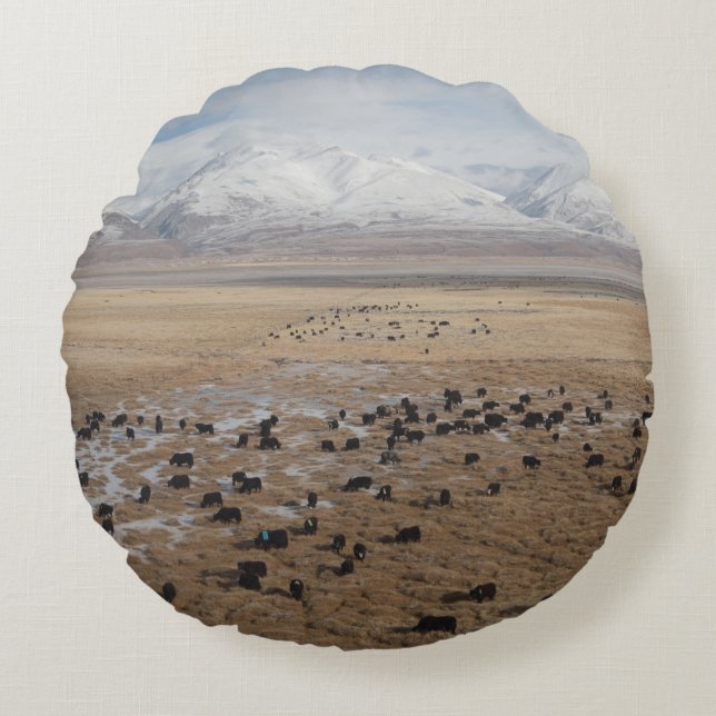 VIEWS FROM A TRAIN TO TIBET ROUND CUSHION (Front)
