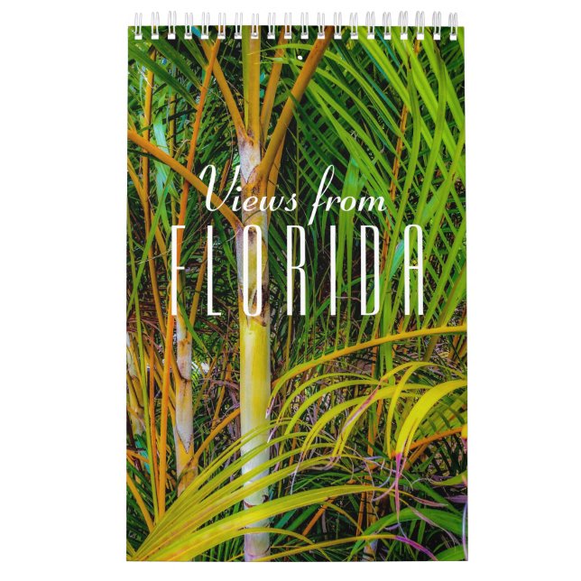 Views from Florida Calendar (Cover)