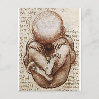 Views of a Foetus in the Womb detail Postcard