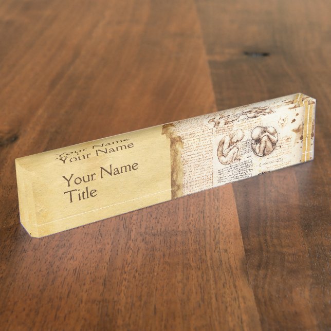 Views of a Foetus in the Womb,Obstetrics Gynaecolo Nameplate (Side)
