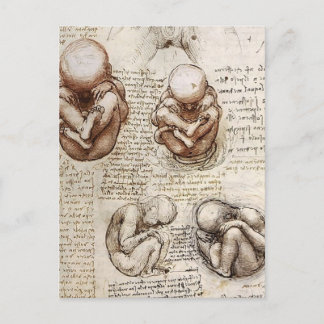 Views of a Foetus in Womb.jpg by Leonardo Vinci Postcard