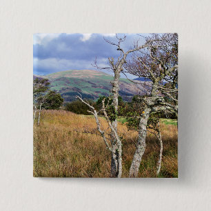 VIEWS OF WALES 15 CM SQUARE BADGE