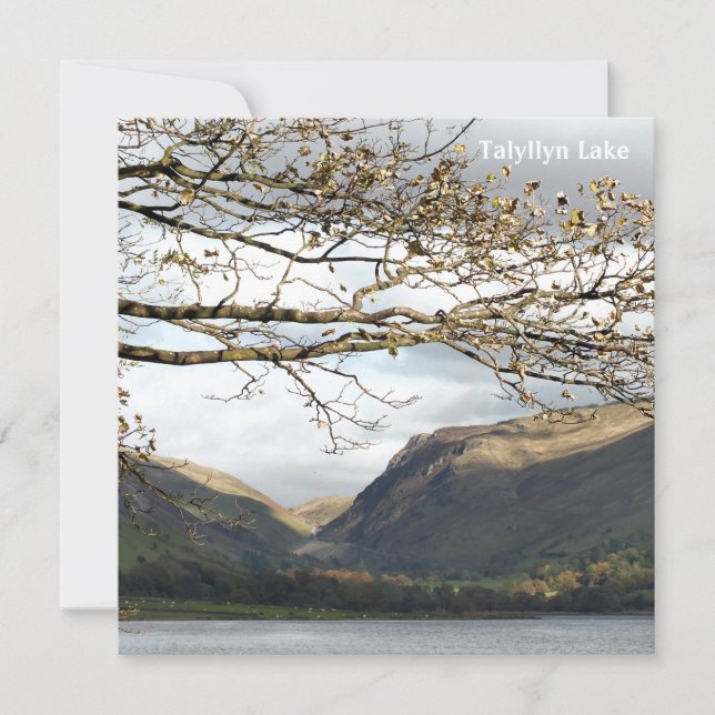 VIEWS OF WALES CARD (Front)