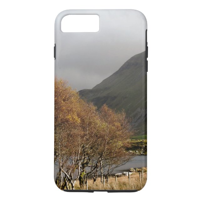 VIEWS OF WALES Case-Mate iPhone CASE (Back)