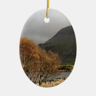 VIEWS OF WALES CERAMIC ORNAMENT