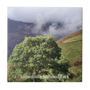 VIEWS OF WALES CERAMIC TILE